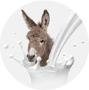 Web_ikony-kosmetika-3-Oslí_méko