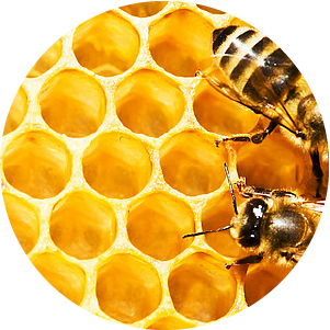 Web_ikony-kosmetika-3-Včelí_vosk
