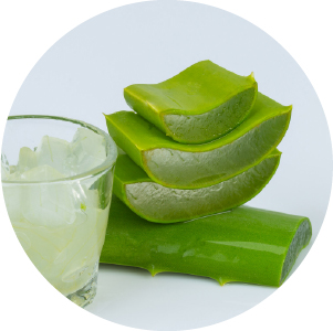 ikony-1-Aloe_Vera