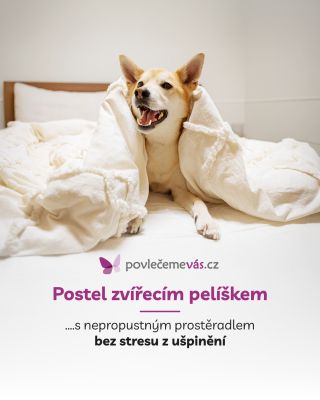 🐾 Postel jako zvířecí pelíšek? Žádný problém… pokud máte nepropustné prostěradlo! 🙈✨ Chlupy, packy, nehody nebo ranní kafe...